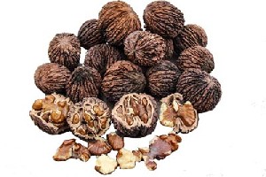 Nuca Neagra si proprietatile sale vindecatoare!