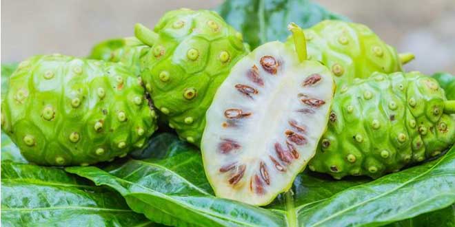 Sucul de noni intareste sistemul imunitar!