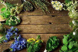 Farmacia ta naturistă – 5 plante de cultivat acasă