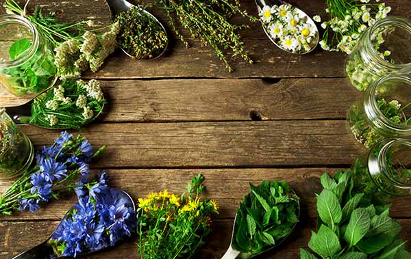 Farmacia ta naturistă – 5 plante de cultivat acasă