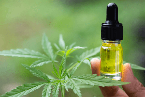 Ce este uleiul CBD și care sunt beneficiile consumului acestuia?