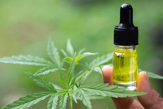Ce este uleiul CBD și care sunt beneficiile consumului acestuia? Ce este uleiul CBD și care sunt beneficiile consumului acestuia?