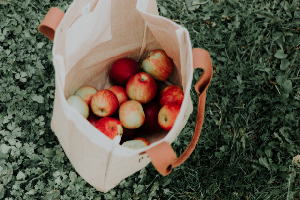 Top 5 fructe de toamnă