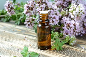 Uleiul de oregano: proprietăți, beneficii, întrebuințări și contraindicații