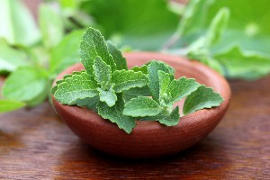Beneficiile zahărului de stevia și rețete pentru un stil de viață sănătos