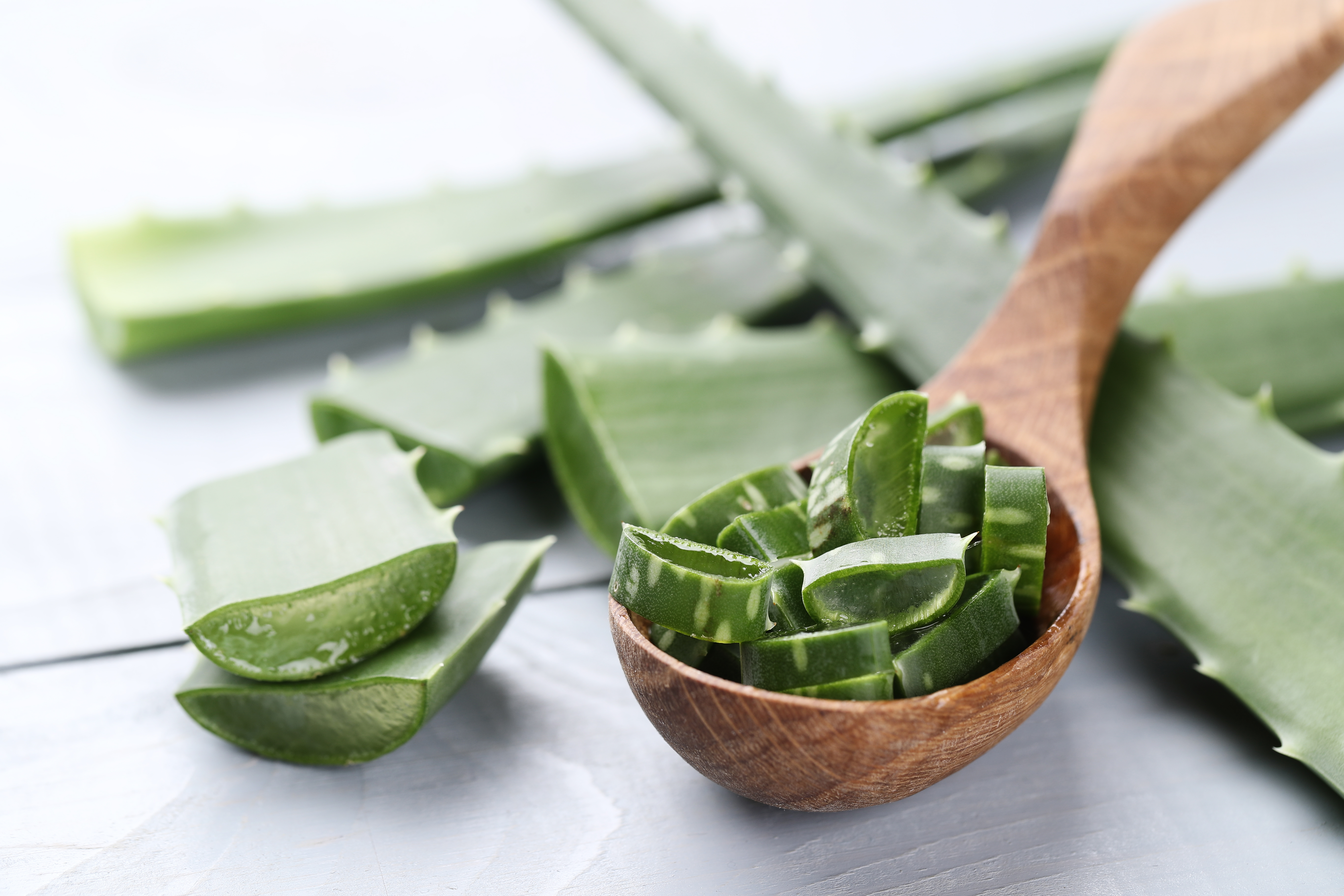 De ce Aloe Vera este tot ce ai nevoie pentru a-ți calma arsurile solare