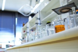 O descoperire moleculară ar putea neutraliza glutenul și proteja pacienții cu celiachie