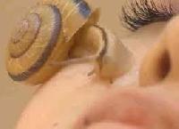 Nou tratament facial de anti-îmbătrânire cu melci