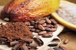 Untul de cacao vindeca cicatricile?