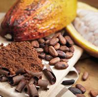 Untul de cacao vindeca cicatricile?