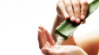 5 beneficii majore pe care le are planta de Aloe