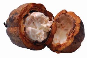 Untul de cacao, un ingredient miracol pentru piele