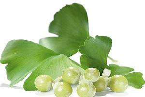 Beneficiile Ginkgo Biloba