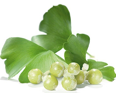 Beneficiile Ginkgo Biloba