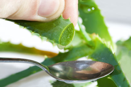 Cum sa slabesti cu Aloe Vera