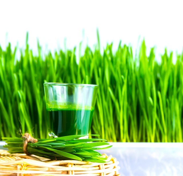 Ce stim despre sucul verde de Grau