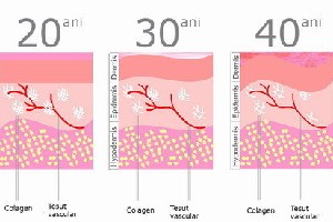 Colagen: proteina frumuseții!