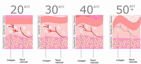 Colagen: proteina frumuseții!
