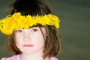 Păpădia! Ingredientul anticancer, care crește în curtea ta!