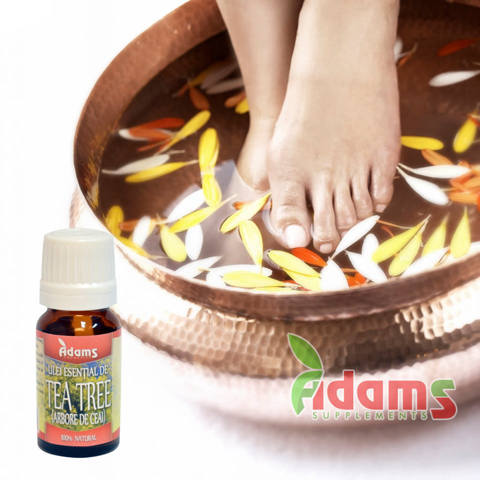 10 beneficii ale uleiului de Tea Tree