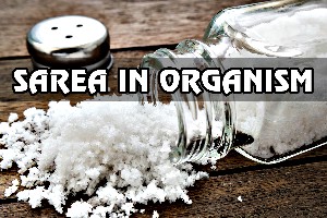 Iată cât de benefică este sarea pentru organismul tău...
