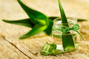 Aloe vera...Oare chiar vindecă orice?!