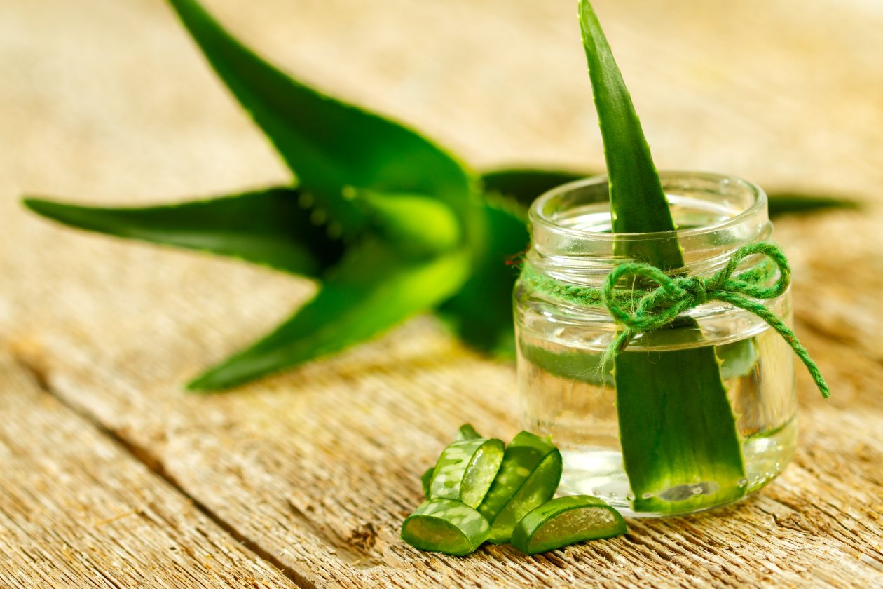 Aloe vera...Oare chiar vindecă orice?!