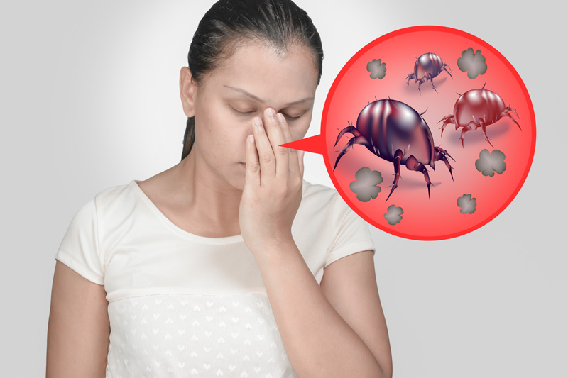 Alergiile la praf. Acarienii: Simptome, tratament și prevenire