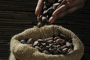 Antioxidantul cel mai puternic din natură