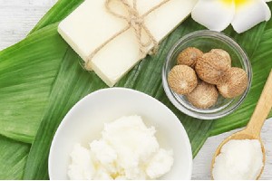 Beneficiile Untului de Shea