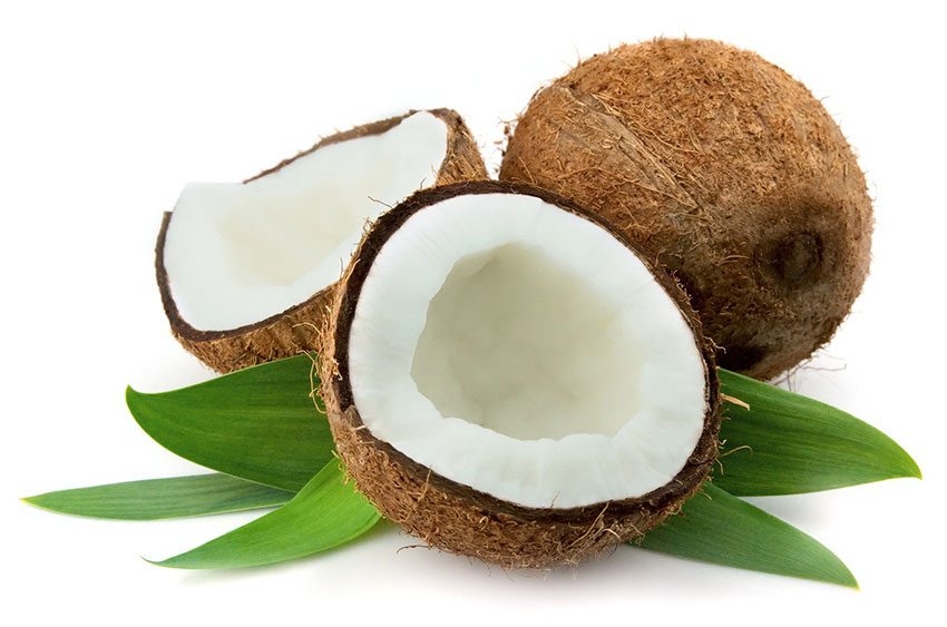 Image result for cocos