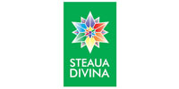 Steaua Divina