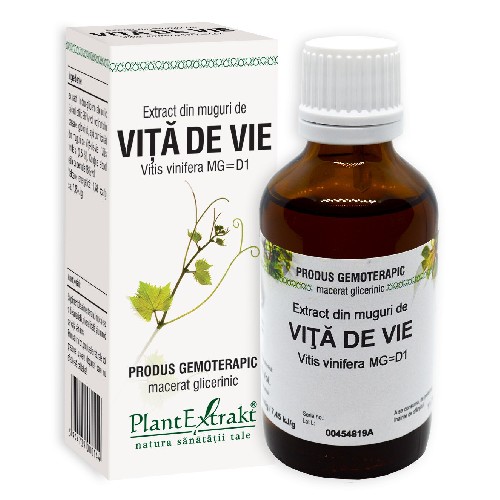 Extract Muguri Vita De Vie 50ml Plantextract vitamix.ro Articulatii sanatoase