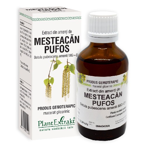 Extract Amenti de Mesteacan Pufos 50ml Plantextrakt