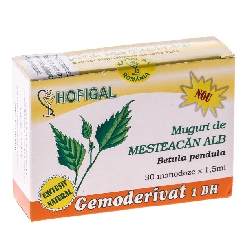 Gemoderivat Muguri de Mesteacan Alb 30monodoze Hofigal vitamix.ro Digestie