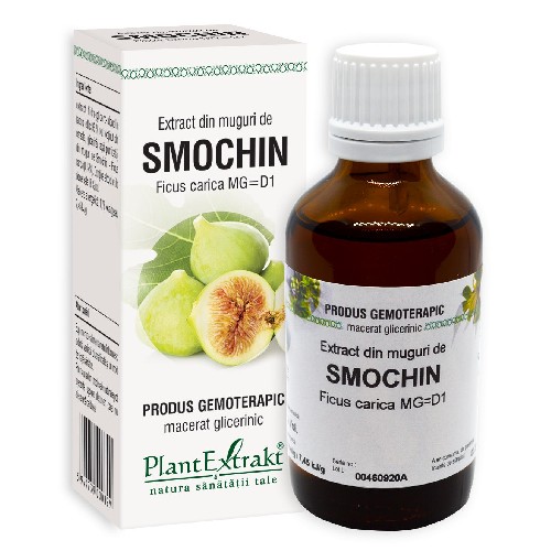 Extract din Muguri de Smochin 50ml Plantextrakt vitamix.ro Digestie
