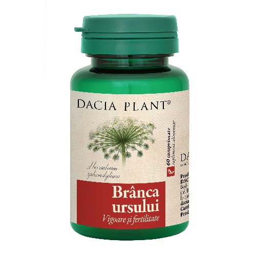 Branca Ursului, 60cpr, Dacia Plant vitamix.ro Produse pentru Ea