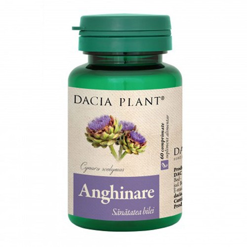 Anghinare 60cpr Dacia Plant vitamix.ro Digestie