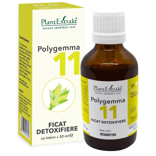 Polygemma 11 -Ficat Detoxifiere- 50ml Plantextrakt