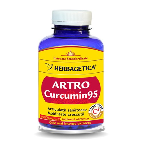 Artro Curcumin95 120cps Herbagetica vitamix.ro Articulatii sanatoase