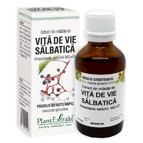 Extract din mladite de Vita de Vie Salbatica 50ml PlantExtrakt