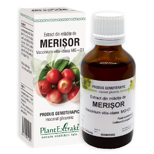 Extract din Mladita de Merisor 50ml, Plantextrakt vitamix.ro Digestie
