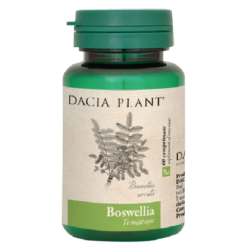 Boswellia (Tamaie) 60cpr Dacia Plant vitamix.ro Articulatii sanatoase